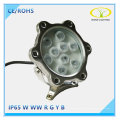 Fountain Swimming Pool Light 12W with Ce RoHS Approval